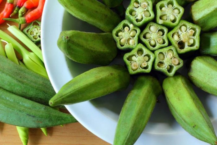Okra Cardoon Morocco Supplier