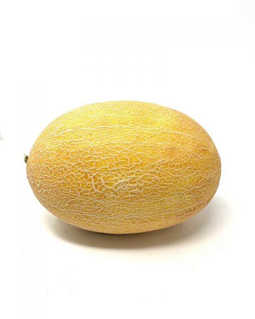 Ananas Melon from Morocco