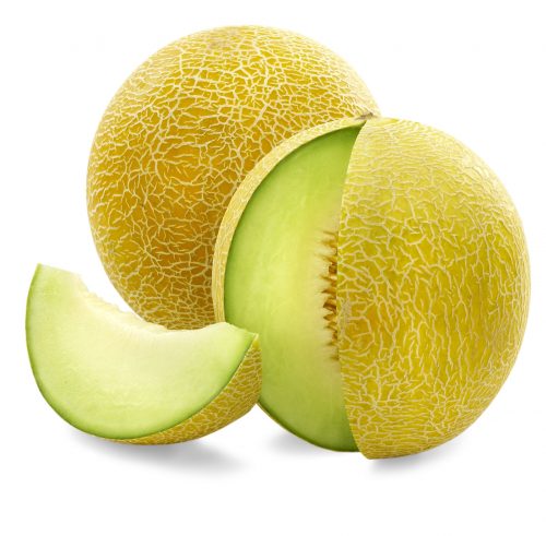 Galia melon from Morocco